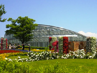 d0080549_9153488.jpg