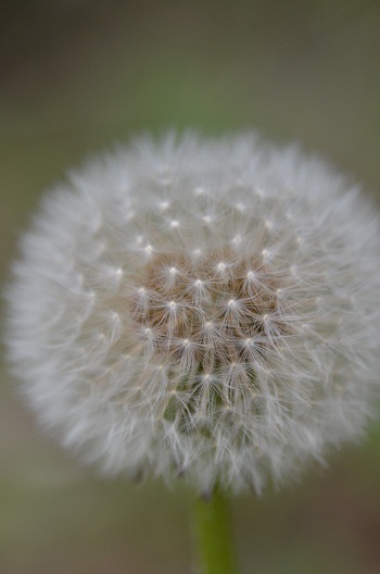 a0238350_12251247.jpg