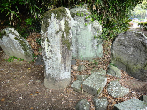 2012年6月6日 鹿島城下~朝鍋宿_c0179351_8461879.jpg