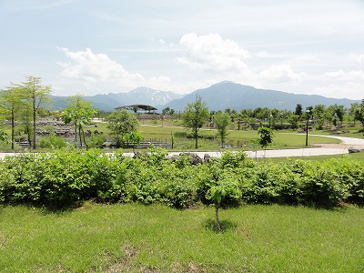 八色の森公園の緑の風_a0084753_1150141.jpg