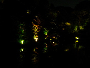 クリスタルボウル演奏会_a0061057_0102154.jpg