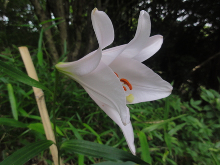 c0108460_0103330.jpg