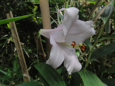 c0108460_012915.jpg