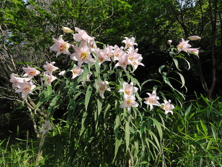 c0108460_0134428.jpg