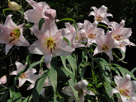 c0108460_0141355.jpg