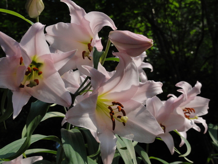 c0108460_014401.jpg