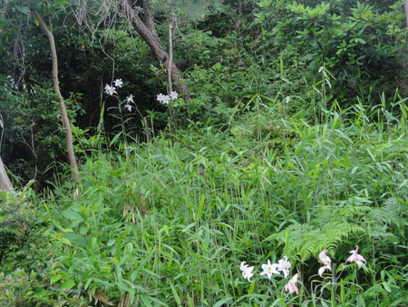 c0108460_13574140.jpg