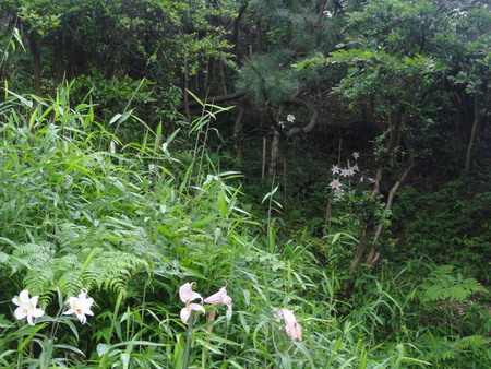 c0108460_13582048.jpg