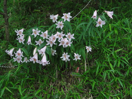 c0108460_14454544.jpg