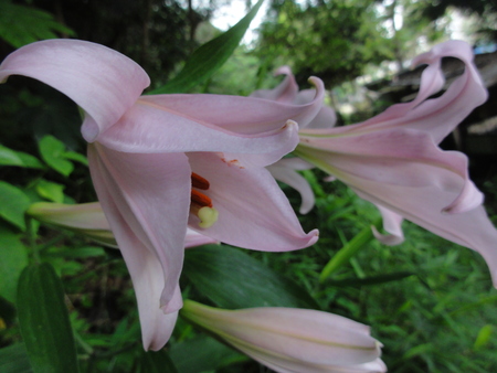 c0108460_15175310.jpg