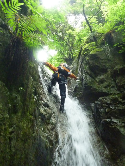 d0110562_05376.jpg