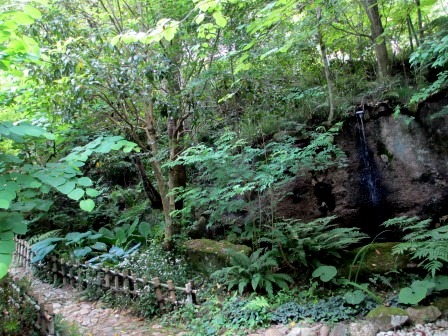 a0243064_16261343.jpg