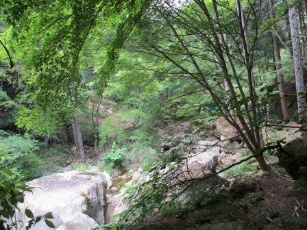 a0243064_16274681.jpg