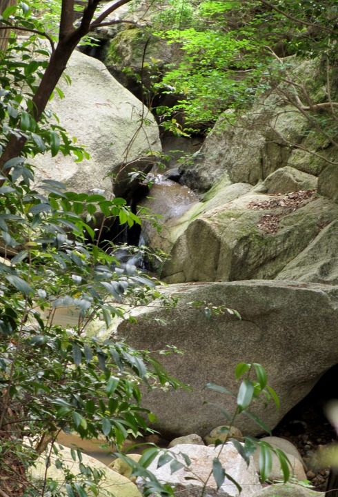 a0243064_16284073.jpg
