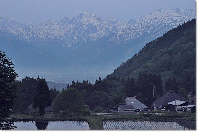 北アルプスを望む・・・長野県白馬村・青鬼の棚田_b0053765_15202475.jpg