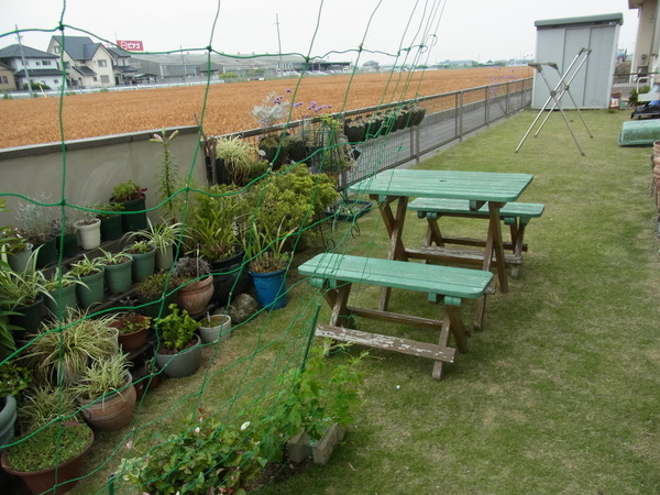 b0194267_20155218.jpg