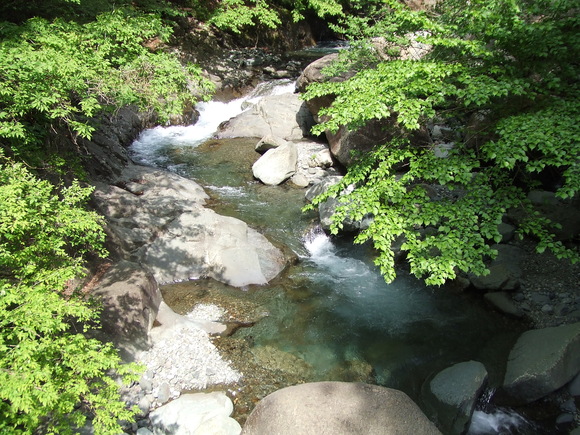 2007,5,12　丹沢山　（過去ハイク）_e0244967_18523413.jpg