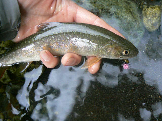 e0266070_11331020.jpg