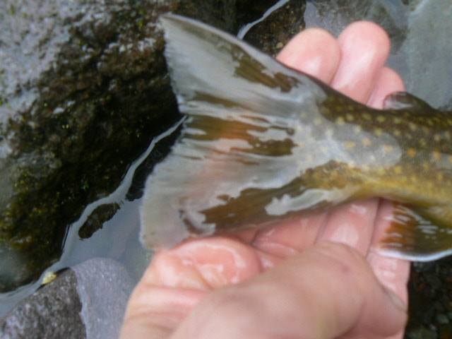 e0266070_1144445.jpg