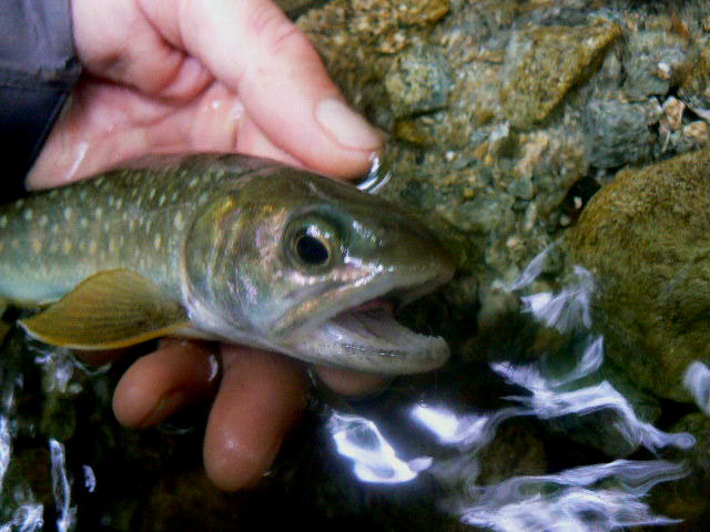 e0266070_11515946.jpg