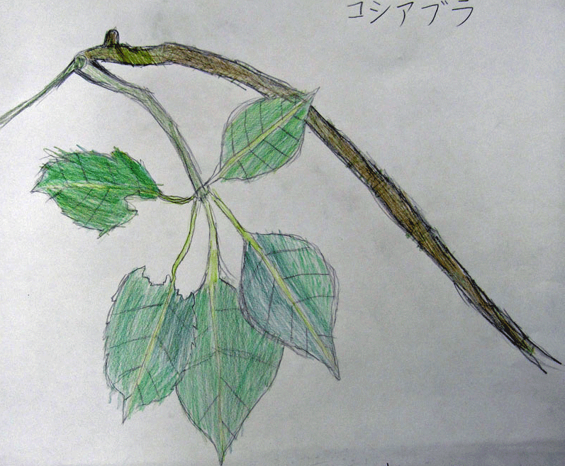 e0167771_19363576.gif