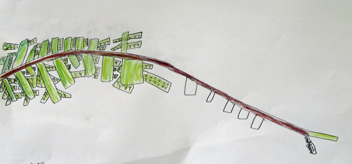e0167771_1940342.gif