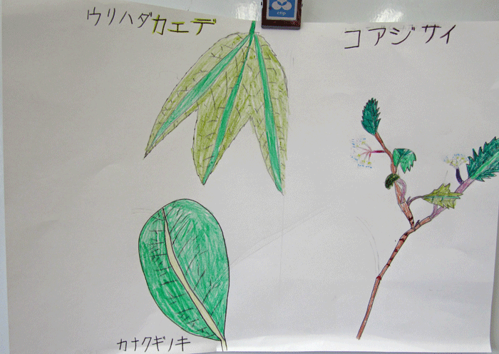 e0167771_1940405.gif