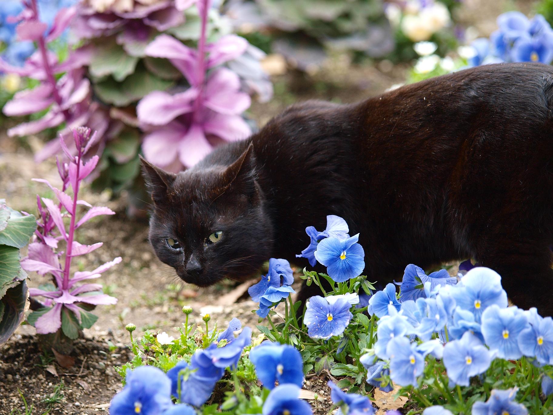 花のなか。_e0260575_1721235.jpg