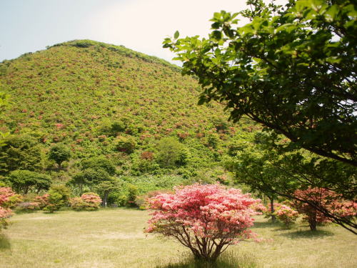 　渡島半島一周　道南の旅　2日目_c0177977_14144611.jpg