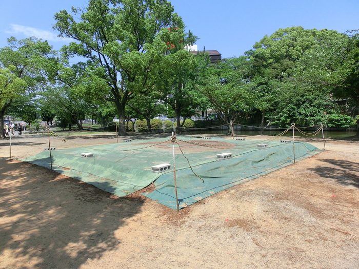 九華公園の花菖蒲祭り_b0099084_14495937.jpg