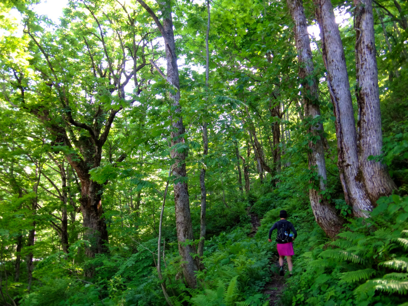 2012/06/05-06 Trail Running in 白山 Day.2_b0220886_10221324.jpg