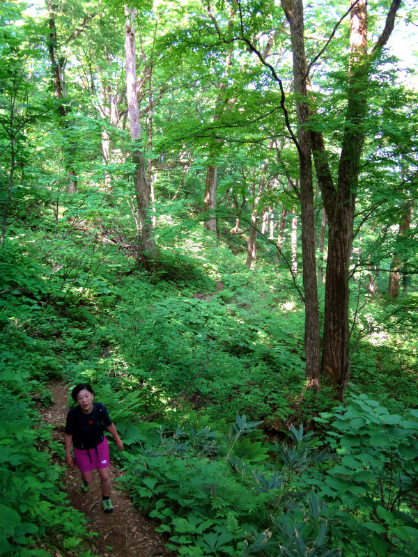 2012/06/05-06 Trail Running in 白山 Day.2_b0220886_1022393.jpg
