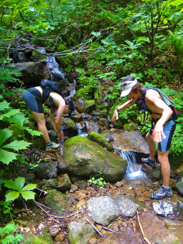 2012/06/05-06 Trail Running in 白山 Day.2_b0220886_10233270.jpg