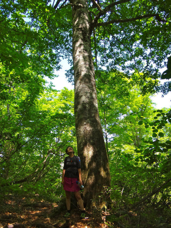 2012/06/05-06 Trail Running in 白山 Day.2_b0220886_10251875.jpg