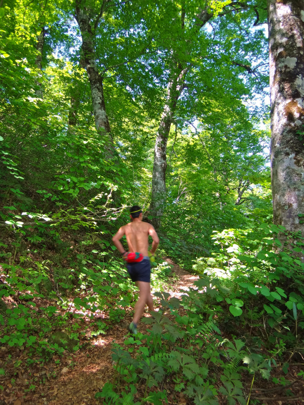 2012/06/05-06 Trail Running in 白山 Day.2_b0220886_10264170.jpg