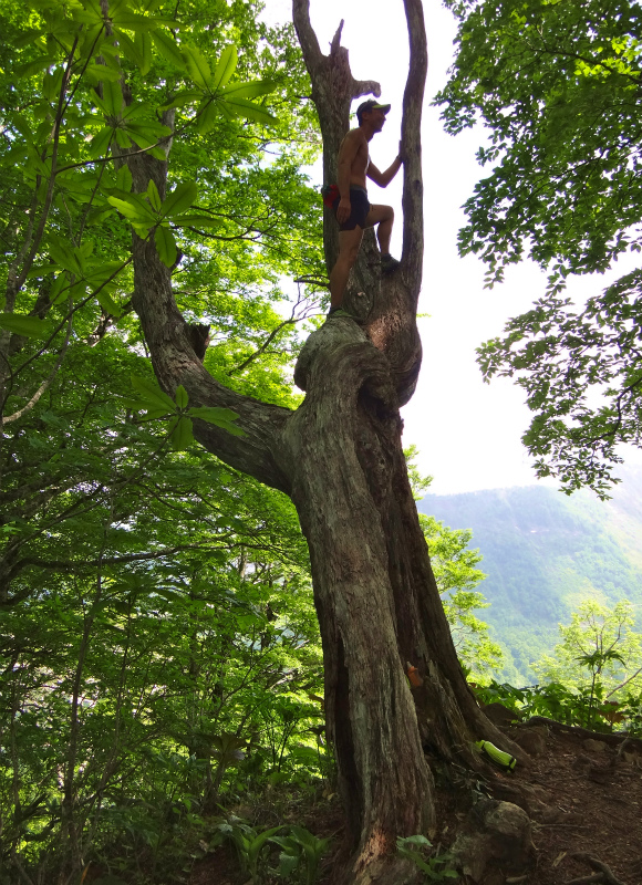 2012/06/05-06 Trail Running in 白山 Day.2_b0220886_10275390.jpg