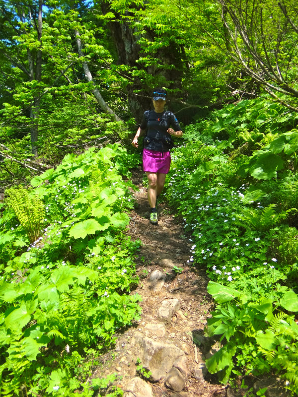 2012/06/05-06 Trail Running in 白山 Day.2_b0220886_10583792.jpg