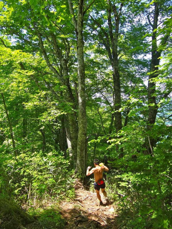 2012/06/05-06 Trail Running in 白山 Day.2_b0220886_1058827.jpg