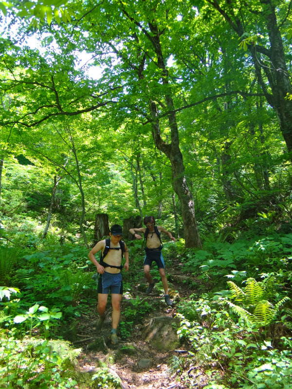 2012/06/05-06 Trail Running in 白山 Day.2_b0220886_10593349.jpg