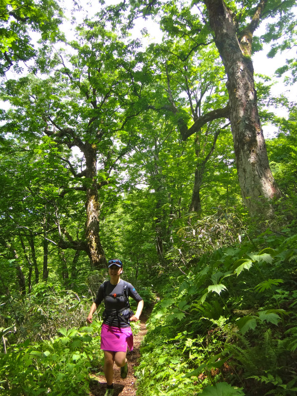 2012/06/05-06 Trail Running in 白山 Day.2_b0220886_1105850.jpg