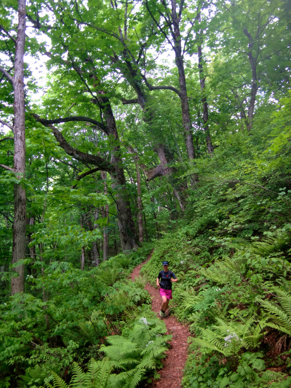 2012/06/05-06 Trail Running in 白山 Day.2_b0220886_1111589.jpg
