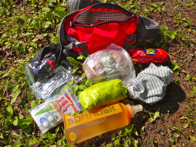 2012/06/05-06 Trail Running in 白山 Day.2_b0220886_11172325.jpg