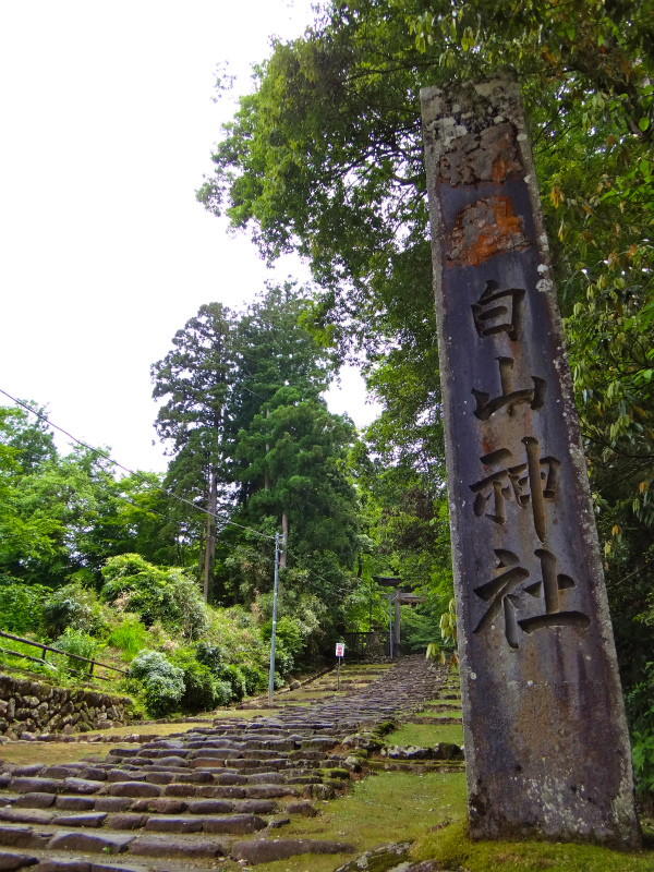 2012/06/05-06 Trail Running in 白山 Day.1_b0220886_9151377.jpg