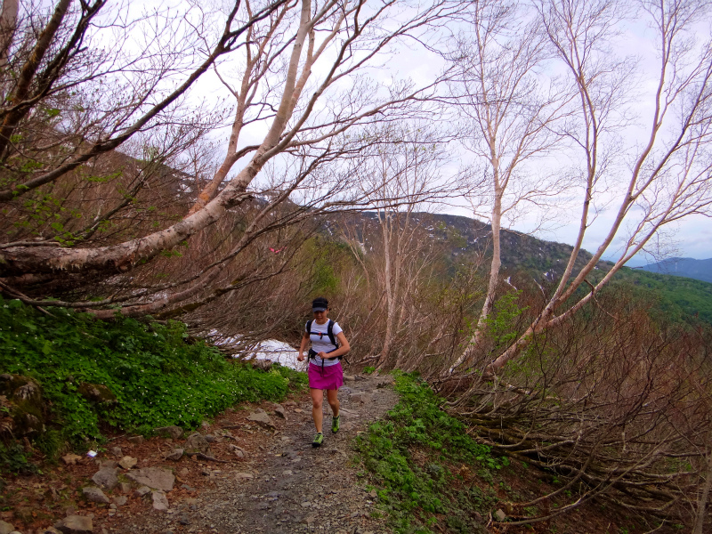 2012/06/05-06 Trail Running in 白山 Day.1_b0220886_9361425.jpg