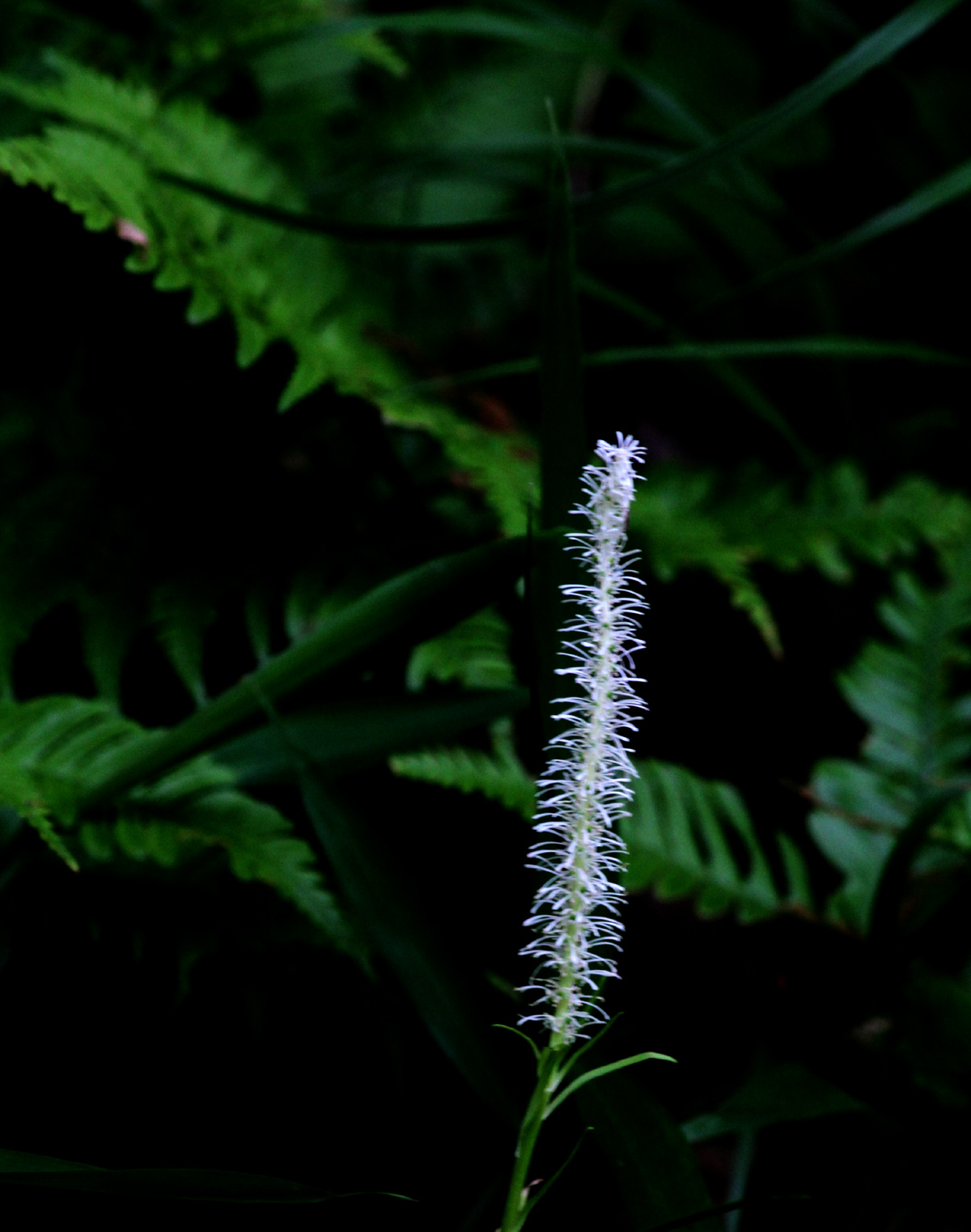e0254493_23132368.jpg