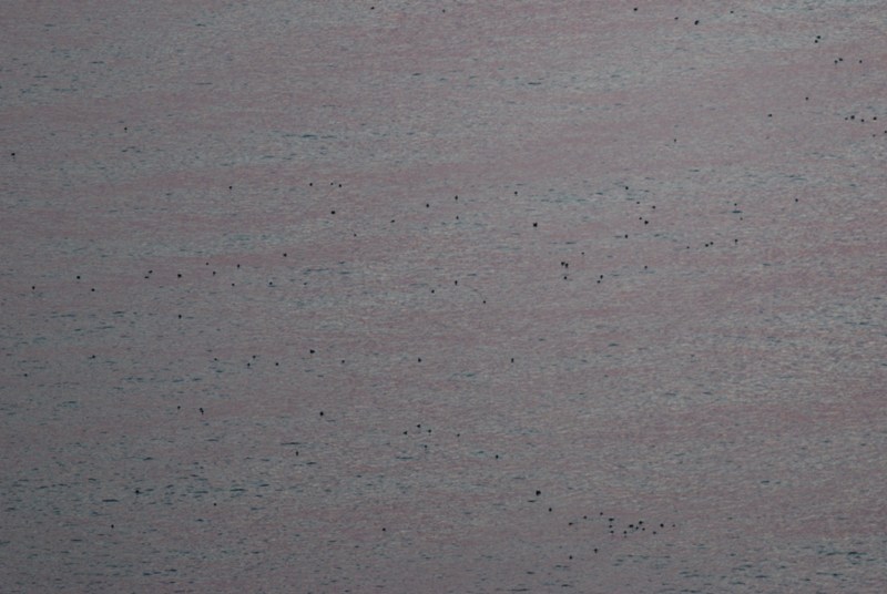 c0190594_12821.jpg