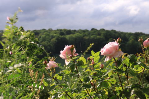 c0090198_245550.jpg