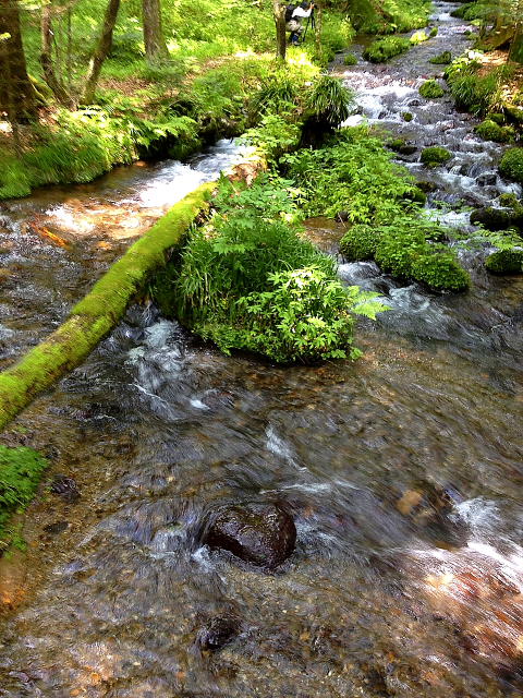 a0237302_02816100.jpg
