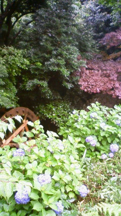 e0046305_17363785.jpg