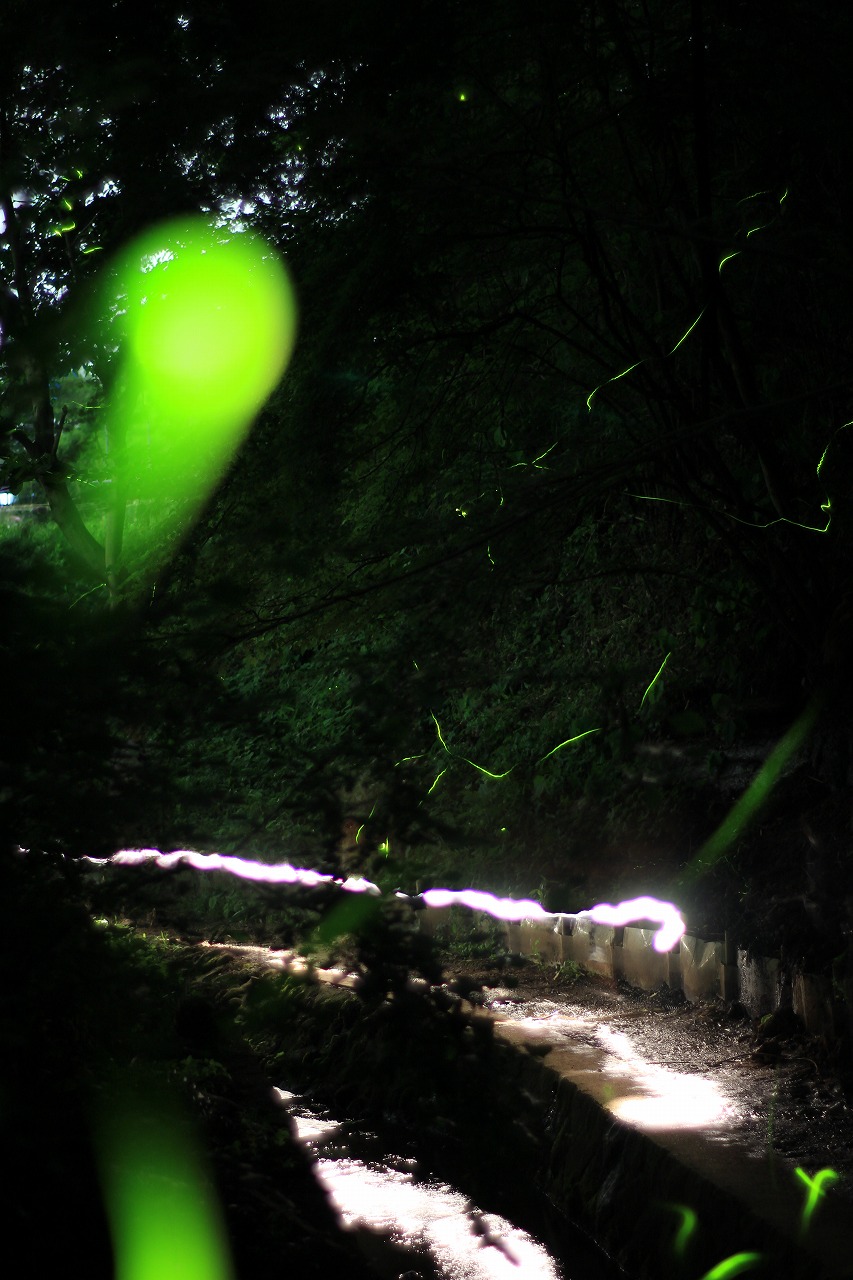 e0262305_11113053.jpg